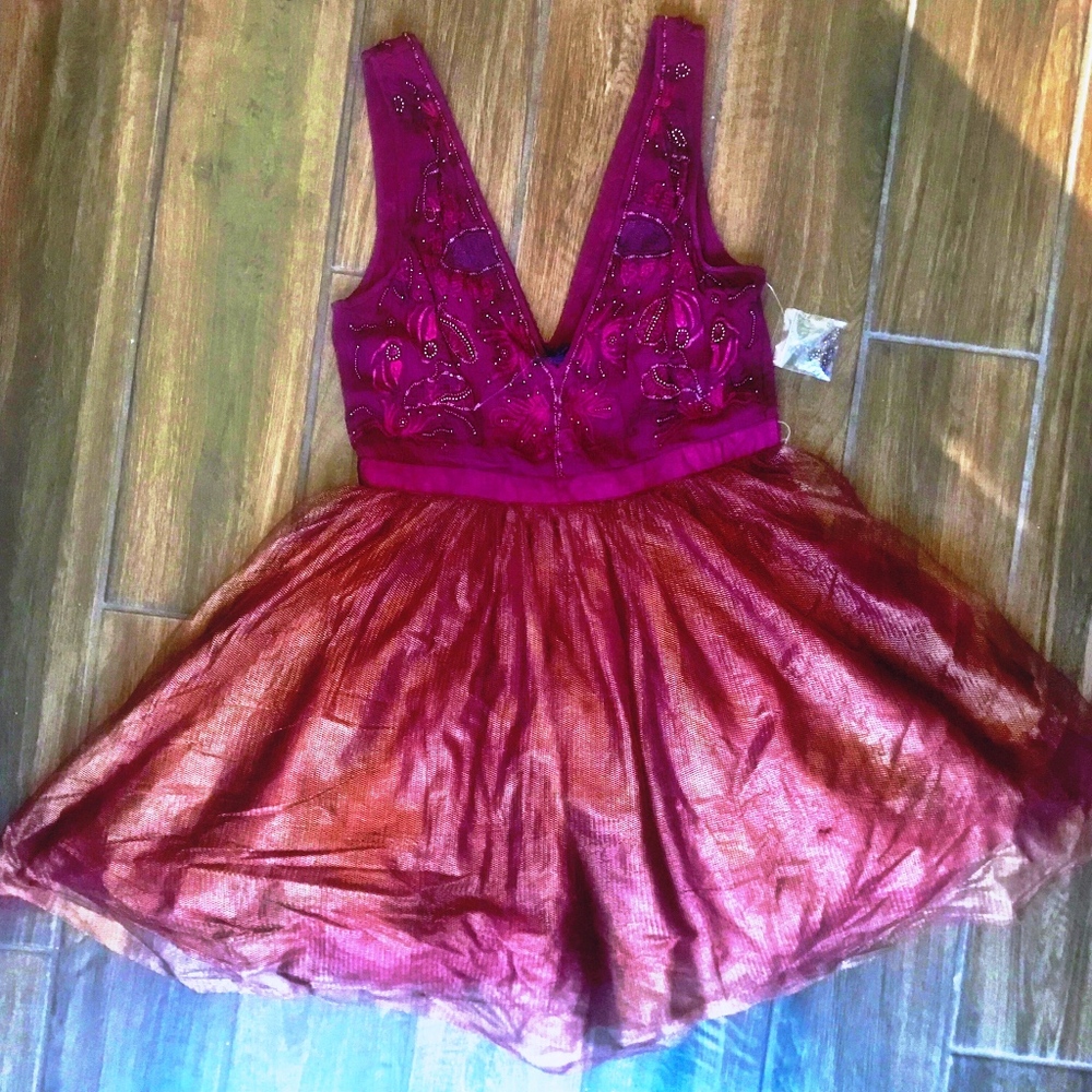 Free People Couture shimmering Tulle Dress Size 6